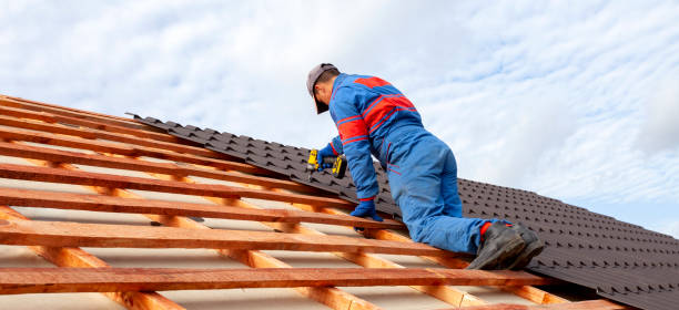 Best Asphalt Shingle Roofing  in Fortuna Foothills, AZ